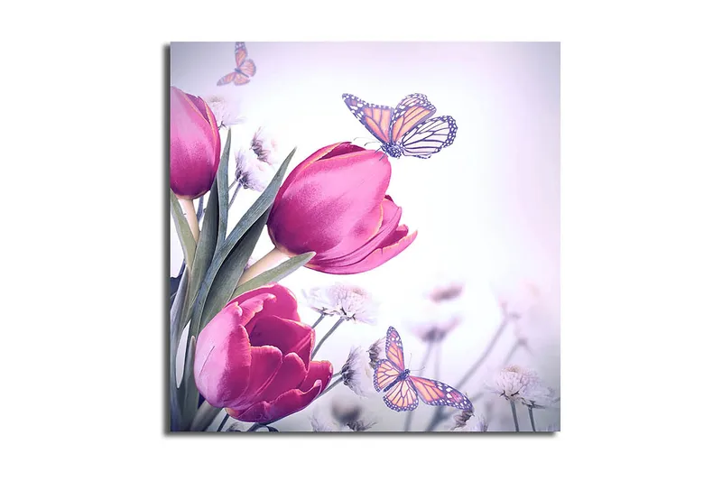 Canvastaulu Nautical Monivärinen, 45x45 cm