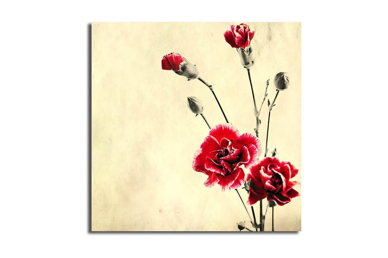 Canvastaulu Scenic Monivärinen, 45x45 cm