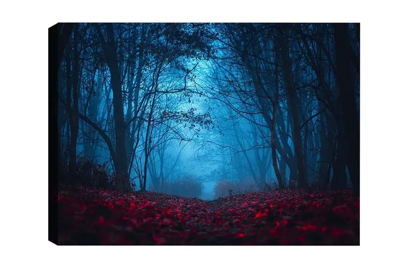 Canvastaulu - Sumuinen metsä punertavilla lehdillä salaperäisessä tunnelmassa, Tummansininen / Punainen