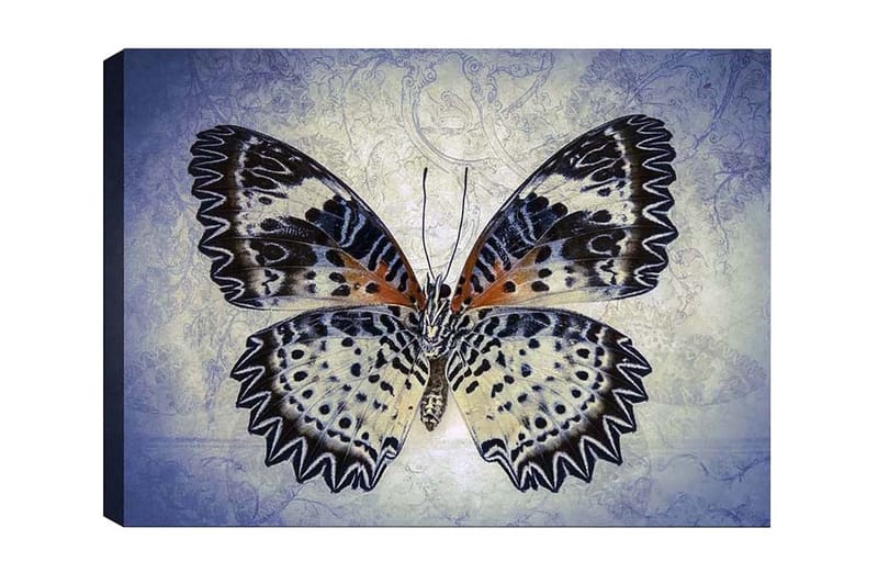 Canvastaulu - Värikäs perhonen yksityiskohtaisilla siivillä, Sininen / Musta / Oranssi