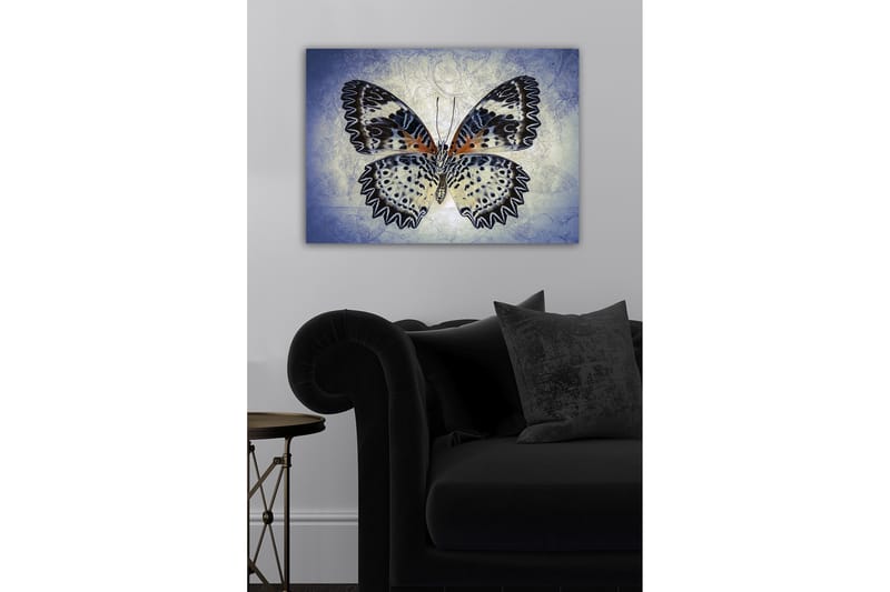 Canvastaulu - Värikäs perhonen yksityiskohtaisilla siivillä - Sininen / Musta / Oranssi - Sisustustuotteet - Taulu & taide - Canvas-taulu
