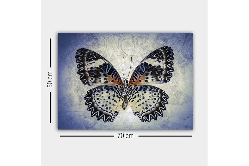 Canvastaulu - Värikäs perhonen yksityiskohtaisilla siivillä - Sininen / Musta / Oranssi - Sisustustuotteet - Taulu & taide - Canvas-taulu