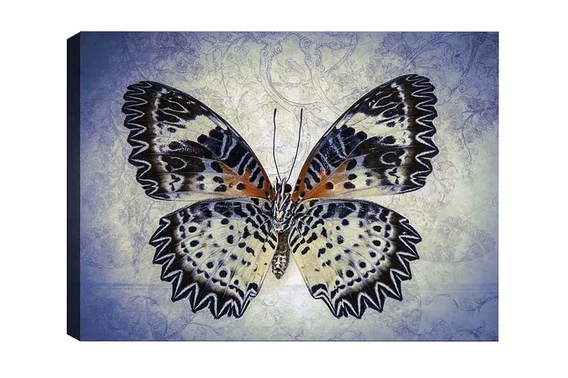 Canvastaulu - Värikäs perhonen yksityiskohtaisilla siivillä, Sininen / Musta / Oranssi