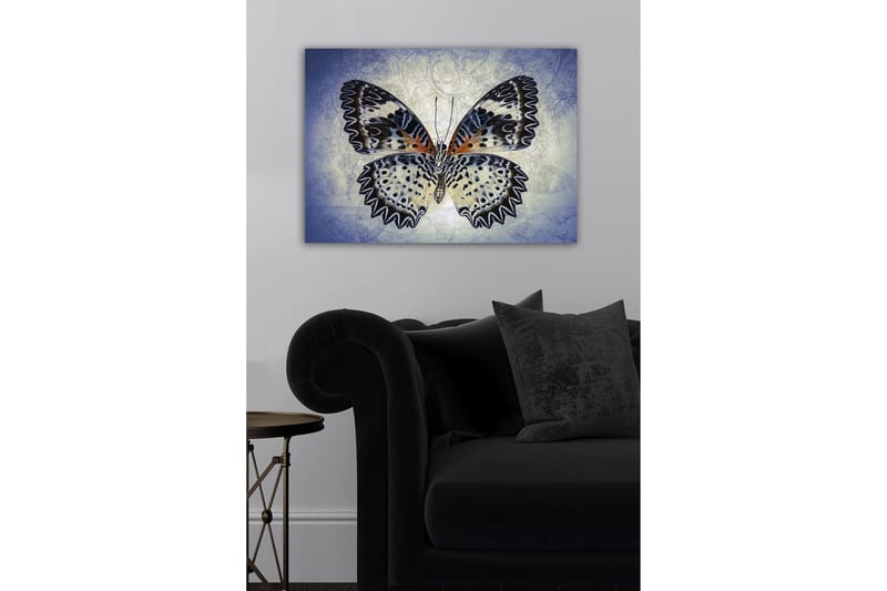 Canvastaulu - Värikäs perhonen yksityiskohtaisilla siivillä - Sininen / Musta / Oranssi - Sisustustuotteet - Taulu & taide - Canvas-taulu