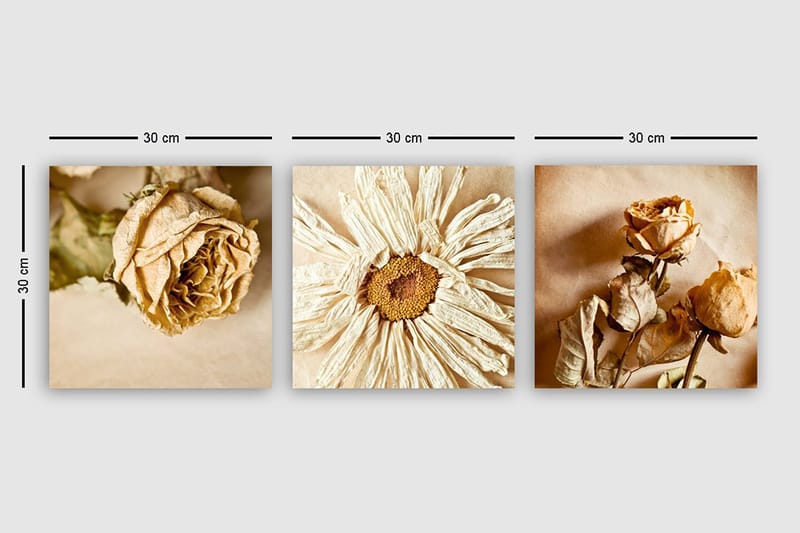 Canvastaulu VP Italy 3-pak Monivärinen - 30x30 cm - Sisustustuotteet - Taulu & taide - Canvas-taulu