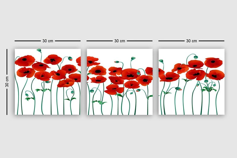 Canvastaulu VP Italy 3-pak Monivärinen - 30x30 cm - Sisustustuotteet - Taulu & taide - Canvas-taulu