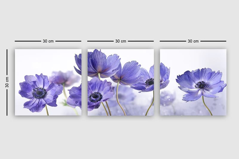 Canvastaulu VP Italy 3-pak Monivärinen - 30x30 cm - Sisustustuotteet - Taulu & taide - Canvas-taulu