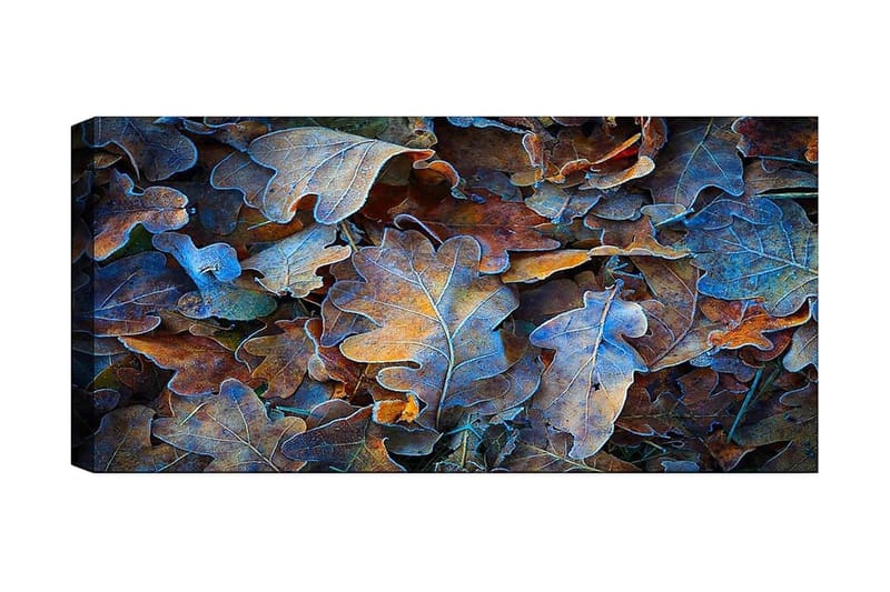 Canvastaulu YTY Abstract & Fractals Monivärinen, 120x50 cm