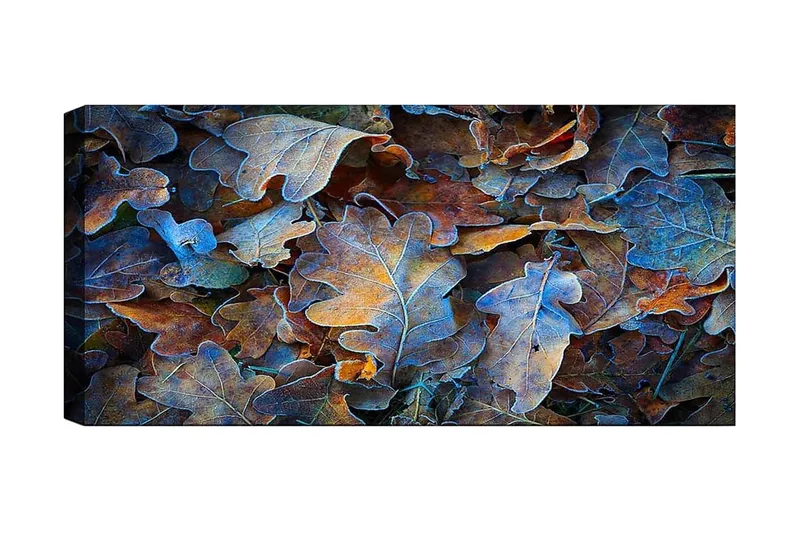 Canvastaulu YTY Abstract & Fractals Monivärinen, 120x50 cm