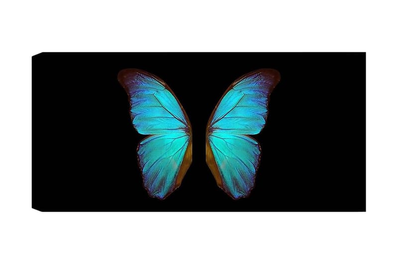 Canvastaulu YTY Animals Monivärinen, 120x50 cm