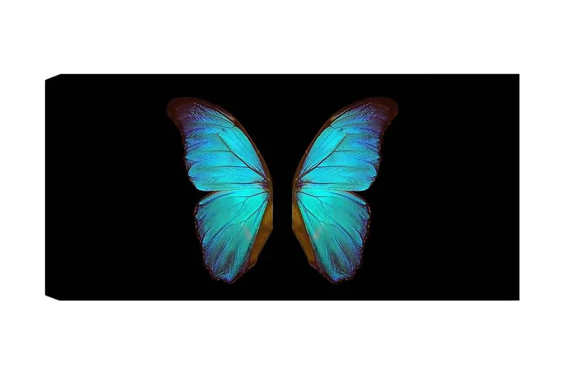 Canvastaulu YTY Animals Monivärinen, 120x50 cm