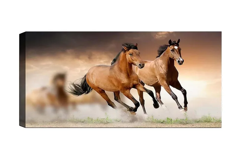 Canvastaulu YTY Animals Monivärinen, 120x50 cm