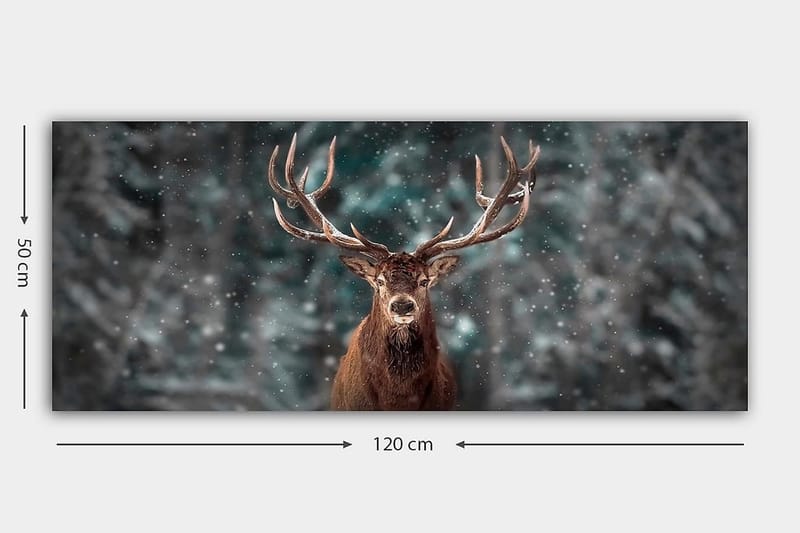 Canvastaulu YTY Animals Monivärinen - 120x50 cm - Sisustustuotteet - Taulu & taide - Canvas-taulu