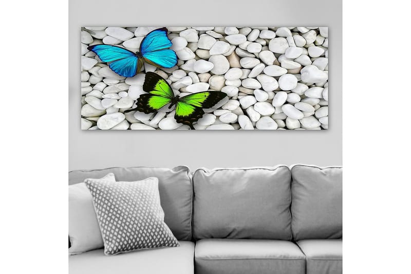 Canvastaulu YTY Animals Monivärinen - 120x50 cm - Sisustustuotteet - Taulu & taide - Canvas-taulu