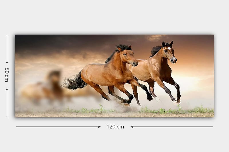 Canvastaulu YTY Animals Monivärinen - 120x50 cm - Sisustustuotteet - Taulu & taide - Canvas-taulu