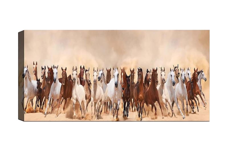 Canvastaulu YTY Animals Monivärinen - 120x50 cm - Sisustustuotteet - Taulu & taide - Canvas-taulu
