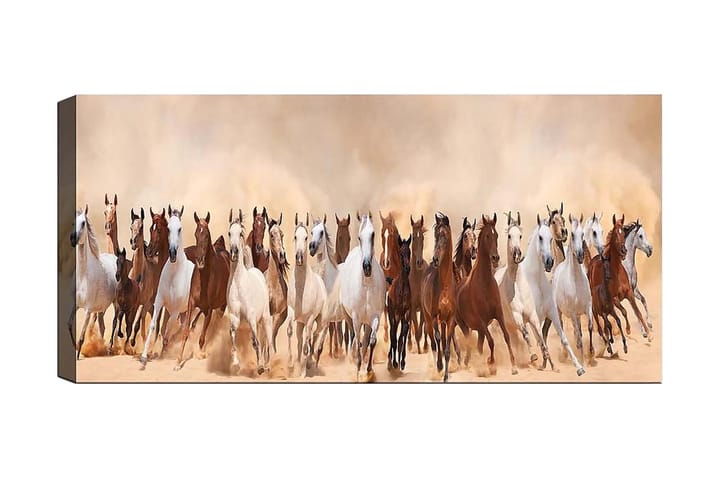 Canvastaulu YTY Animals Monivärinen - 120x50 cm - Canvas-taulu - Seinäkoristeet