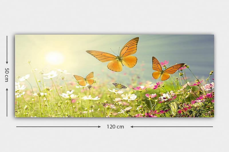 Canvastaulu YTY Animals Monivärinen - 120x50 cm - Sisustustuotteet - Taulu & taide - Canvas-taulu