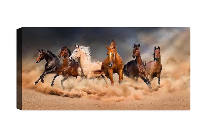 Canvastaulu YTY Animals Monivärinen - 120x50 cm - Sisustustuotteet - Taulu & taide - Canvas-taulu