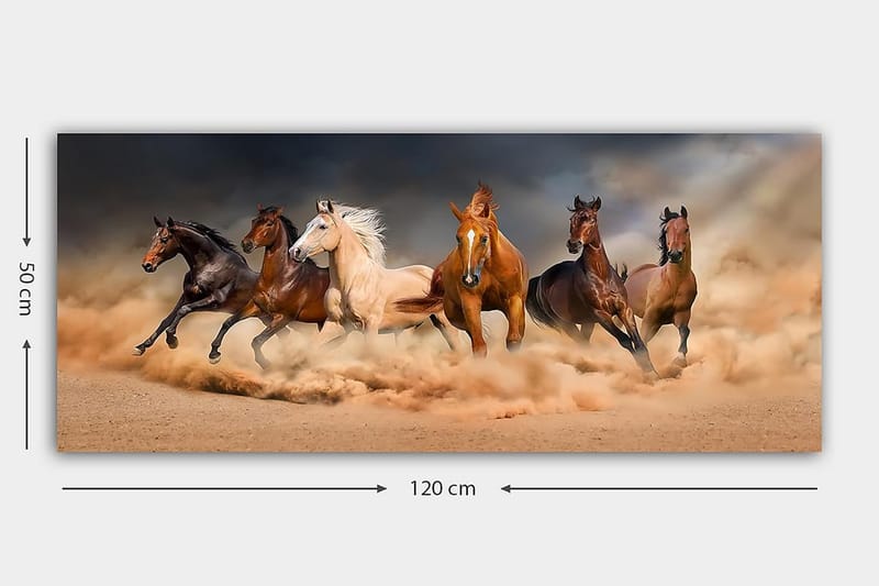 Canvastaulu YTY Animals Monivärinen - 120x50 cm - Sisustustuotteet - Taulu & taide - Canvas-taulu