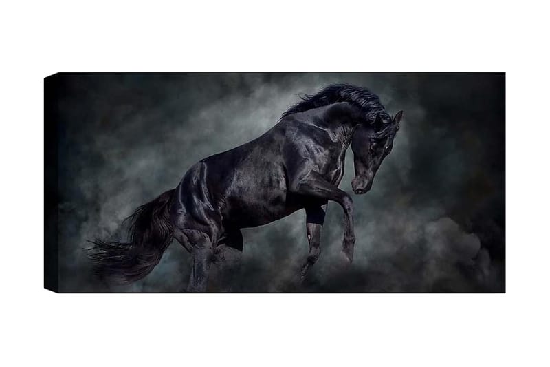 Canvastaulu YTY Animals Monivärinen - 120x50 cm - Sisustustuotteet - Taulu & taide - Canvas-taulu