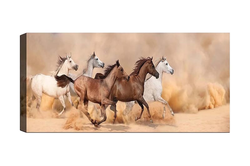 Canvastaulu YTY Animals Monivärinen - 120x50 cm - Sisustustuotteet - Taulu & taide - Canvas-taulu