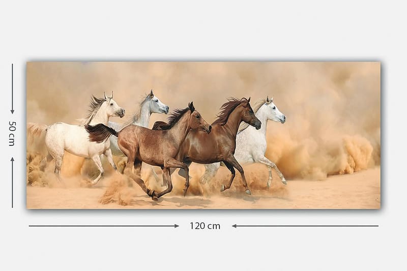 Canvastaulu YTY Animals Monivärinen - 120x50 cm - Sisustustuotteet - Taulu & taide - Canvas-taulu