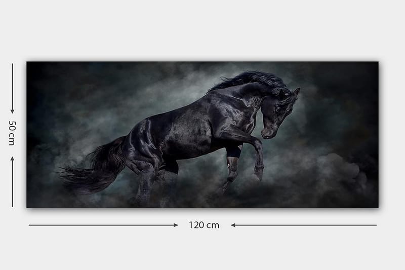 Canvastaulu YTY Animals Monivärinen - 120x50 cm - Sisustustuotteet - Taulu & taide - Canvas-taulu
