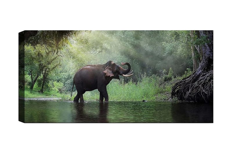 Canvastaulu YTY Animals Monivärinen - 120x50 cm - Sisustustuotteet - Taulu & taide - Canvas-taulu