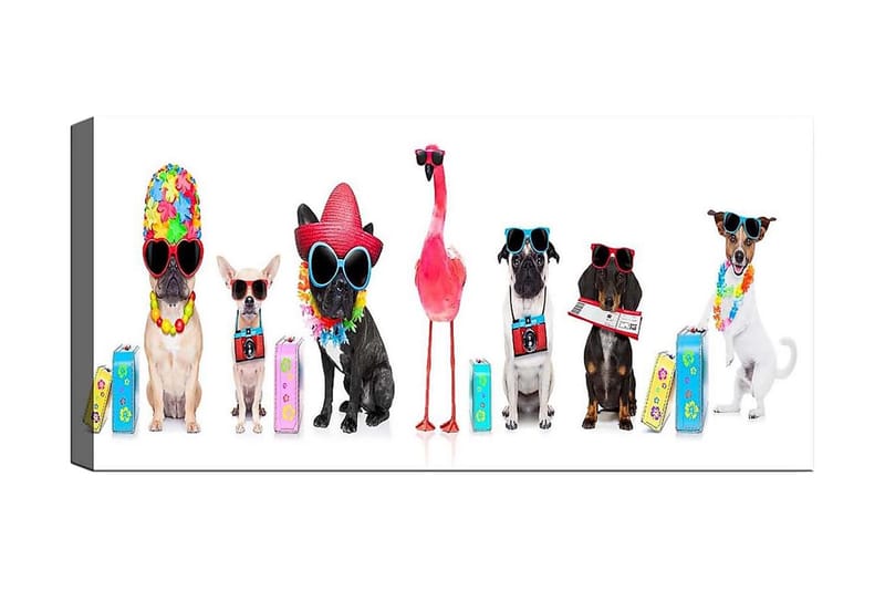 Canvastaulu YTY Animals Monivärinen - 120x50 cm - Sisustustuotteet - Taulu & taide - Canvas-taulu