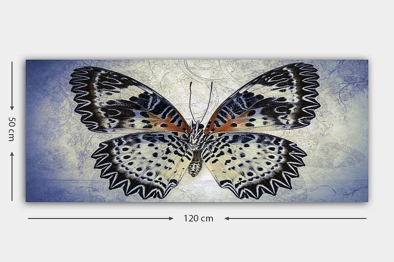 Canvastaulu YTY Animals Monivärinen - 120x50 cm - Sisustustuotteet - Taulu & taide - Canvas-taulu