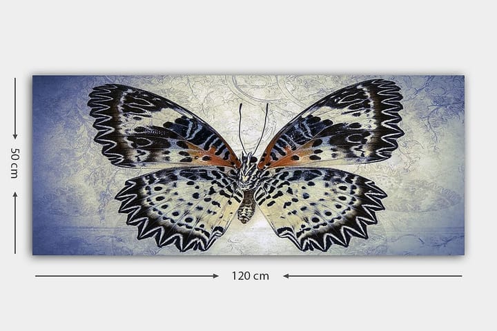Canvastaulu YTY Animals Monivärinen - 120x50 cm - Canvas-taulu - Seinäkoristeet