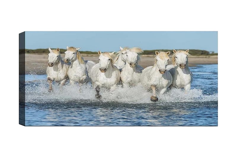 Canvastaulu YTY Animals Monivärinen - 120x50 cm - Sisustustuotteet - Taulu & taide - Canvas-taulu