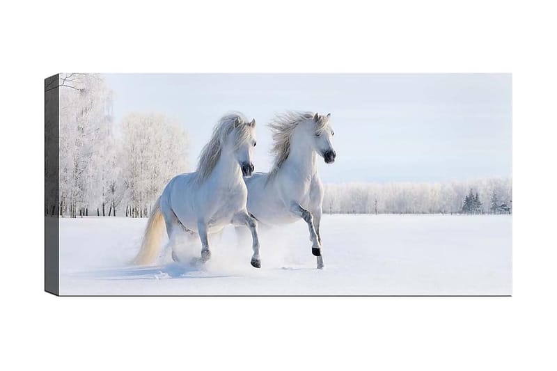 Canvastaulu YTY Animals Monivärinen - 120x50 cm - Sisustustuotteet - Taulu & taide - Canvas-taulu