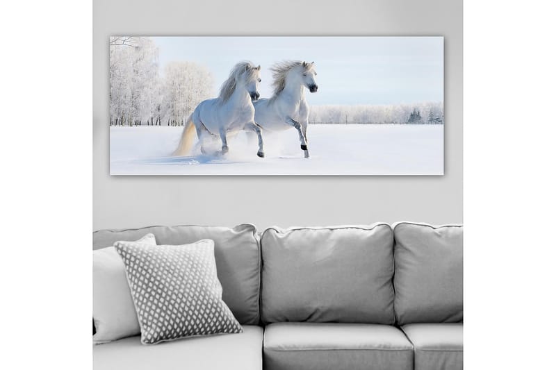 Canvastaulu YTY Animals Monivärinen - 120x50 cm - Sisustustuotteet - Taulu & taide - Canvas-taulu