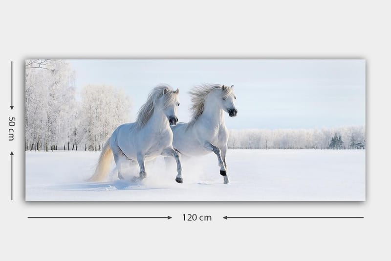 Canvastaulu YTY Animals Monivärinen - 120x50 cm - Sisustustuotteet - Taulu & taide - Canvas-taulu