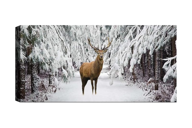 Canvastaulu YTY Animals Monivärinen - 120x50 cm - Sisustustuotteet - Taulu & taide - Canvas-taulu