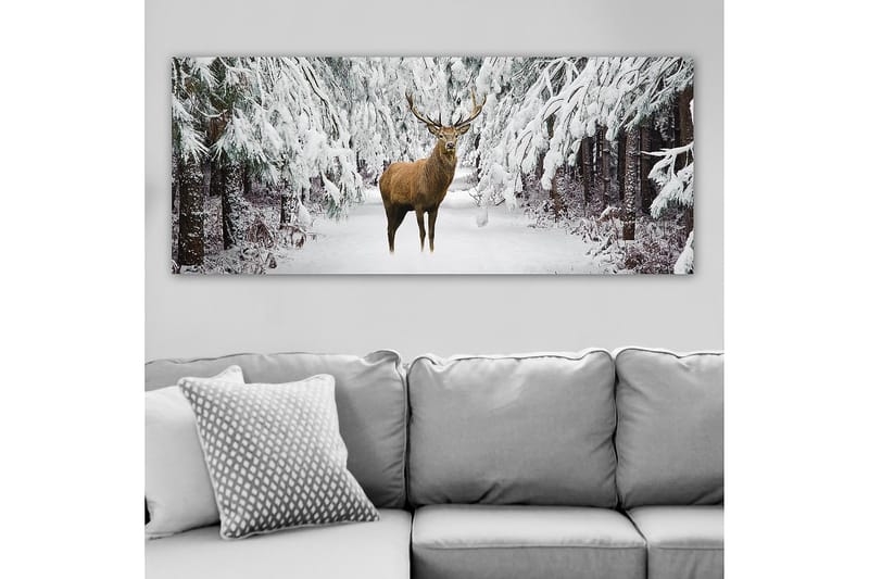 Canvastaulu YTY Animals Monivärinen - 120x50 cm - Sisustustuotteet - Taulu & taide - Canvas-taulu