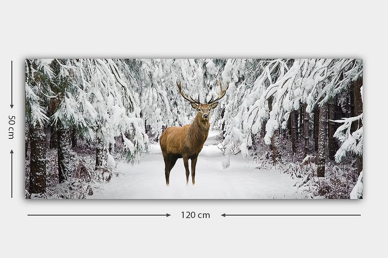 Canvastaulu YTY Animals Monivärinen - 120x50 cm - Sisustustuotteet - Taulu & taide - Canvas-taulu
