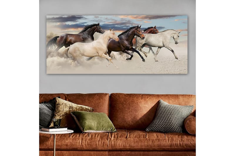 Canvastaulu YTY Animals Monivärinen - 120x50 cm - Sisustustuotteet - Taulu & taide - Canvas-taulu