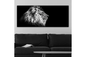 Canvastaulu YTY Animals Monivärinen - 120x50 cm - Sisustustuotteet - Taulu & taide - Canvas-taulu