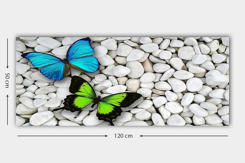 Canvastaulu YTY Animals Monivärinen - 120x50 cm - Sisustustuotteet - Taulu & taide - Canvas-taulu