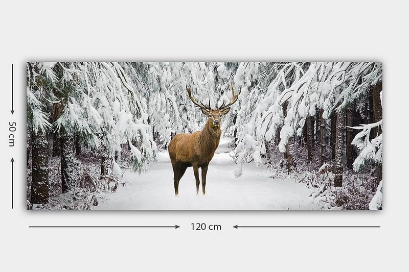 Canvastaulu YTY Animals Monivärinen - 120x50 cm - Sisustustuotteet - Taulu & taide - Canvas-taulu