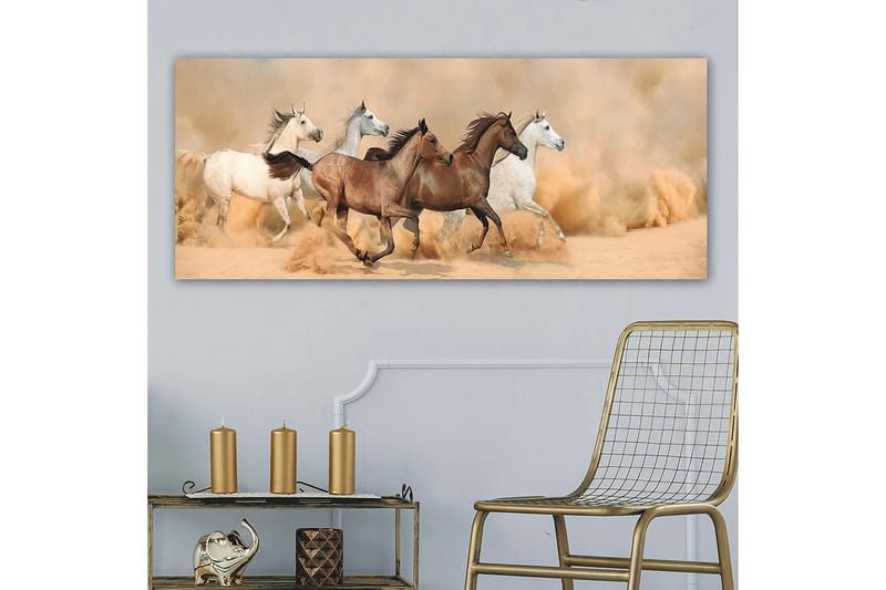 Canvastaulu YTY Animals Monivärinen - 120x50 cm - Sisustustuotteet - Taulu & taide - Canvas-taulu