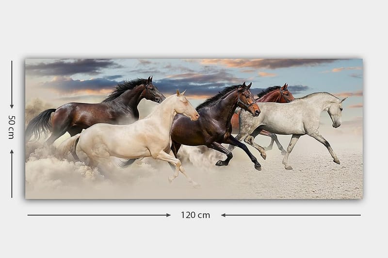 Canvastaulu YTY Animals Monivärinen - 120x50 cm - Sisustustuotteet - Taulu & taide - Canvas-taulu