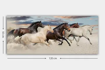 Canvastaulu YTY Animals Monivärinen - 120x50 cm - Sisustustuotteet - Taulu & taide - Canvas-taulu