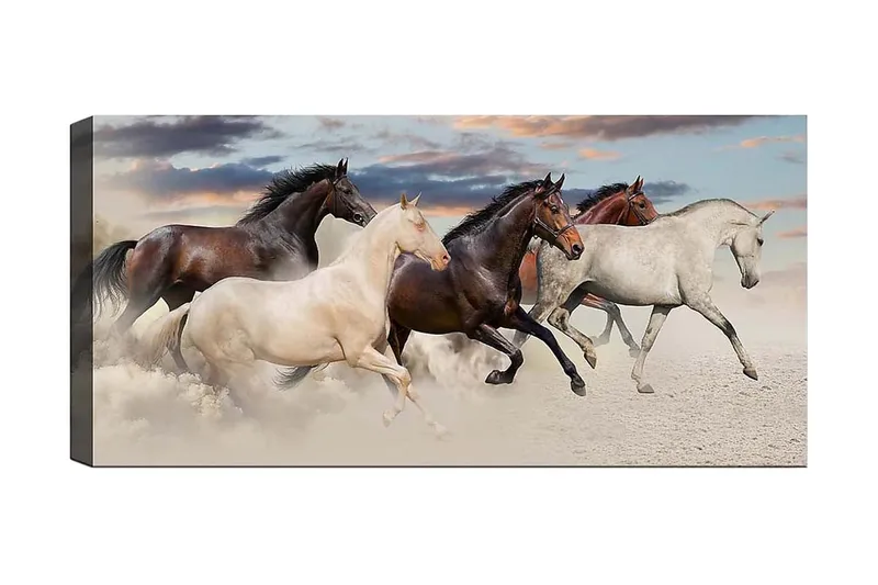 Canvastaulu YTY Animals Monivärinen, 120x50 cm