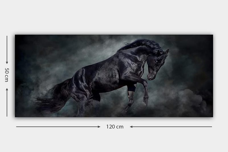 Canvastaulu YTY Animals Monivärinen - 120x50 cm - Sisustustuotteet - Taulu & taide - Canvas-taulu