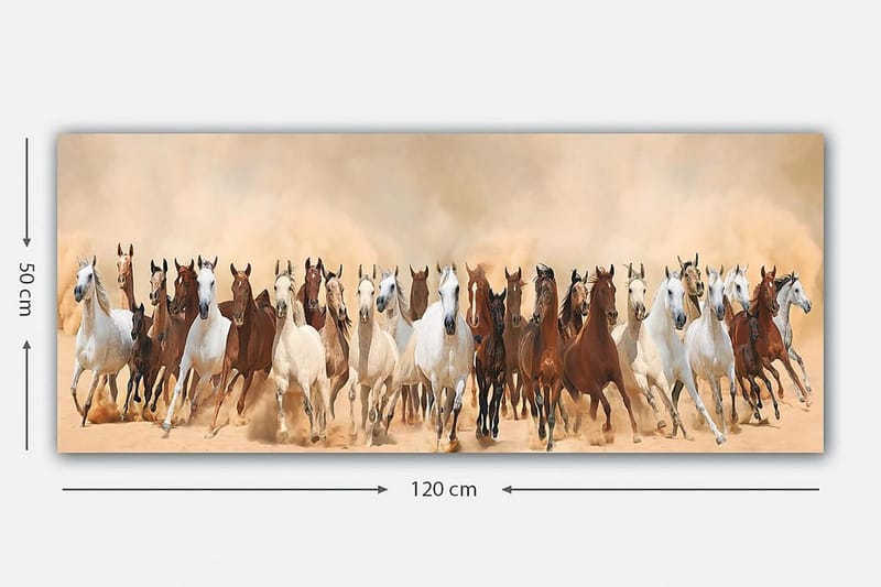 Canvastaulu YTY Animals Monivärinen - 120x50 cm - Sisustustuotteet - Taulu & taide - Canvas-taulu
