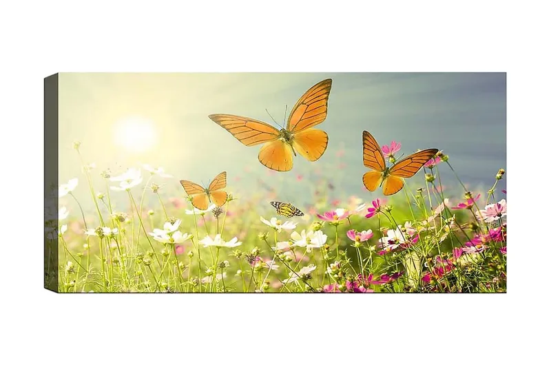 Canvastaulu YTY Animals Monivärinen, 120x50 cm